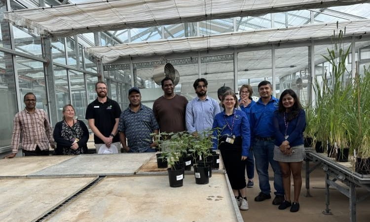 Two individuals stand in front of a large cylindrical bale of cotton. The person on the left is holding some cotton, both are dressed in casual outdoor clothing.