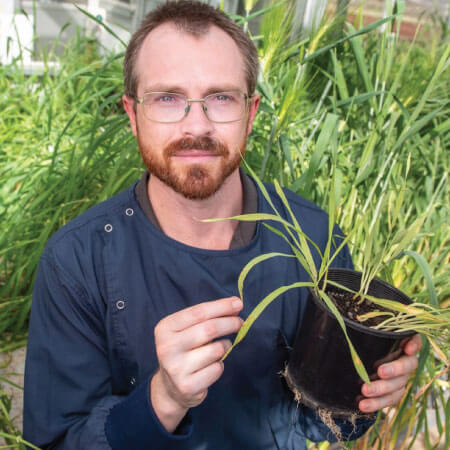 A person wearing glasses and a blue shirt holds a potted plant with green leaves, surrounded by tall grass-like plants in a greenhouse setting.