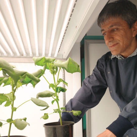 A man examines potted plants under bright LED grow lights in an indoor setting.