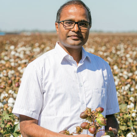 A man wearing glasses and a white shirt stands in a cotton field, holding a cotton plant.