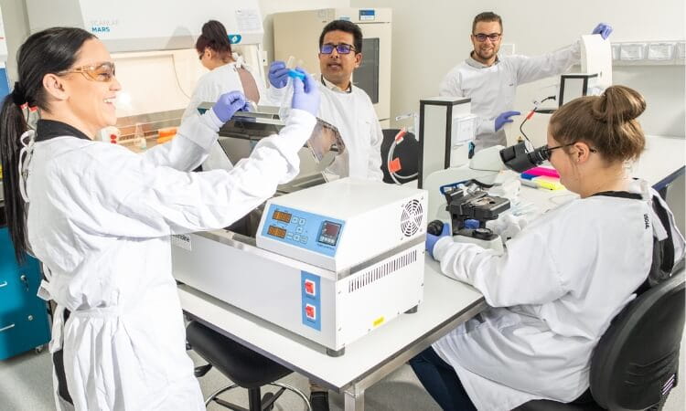 inside the biomedical laboratory