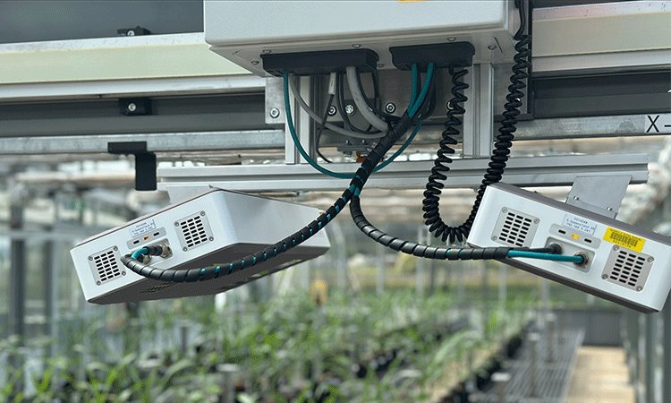 Close-up of two plant growth lamps hanging in a greenhouse, with visible cables and seedlings in the background.