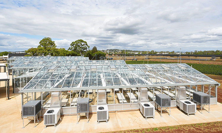 A large, modern greenhouse with glass roofing and exterior units, situated in an agricultural area with fields and distant trees.