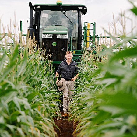 A person holding a hat walks through tall rows of corn with a green tractor positioned behind them in the field.