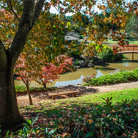 A wooden bench sits near a pond surrounded by autumn trees, with a red footbridge visible in the background.