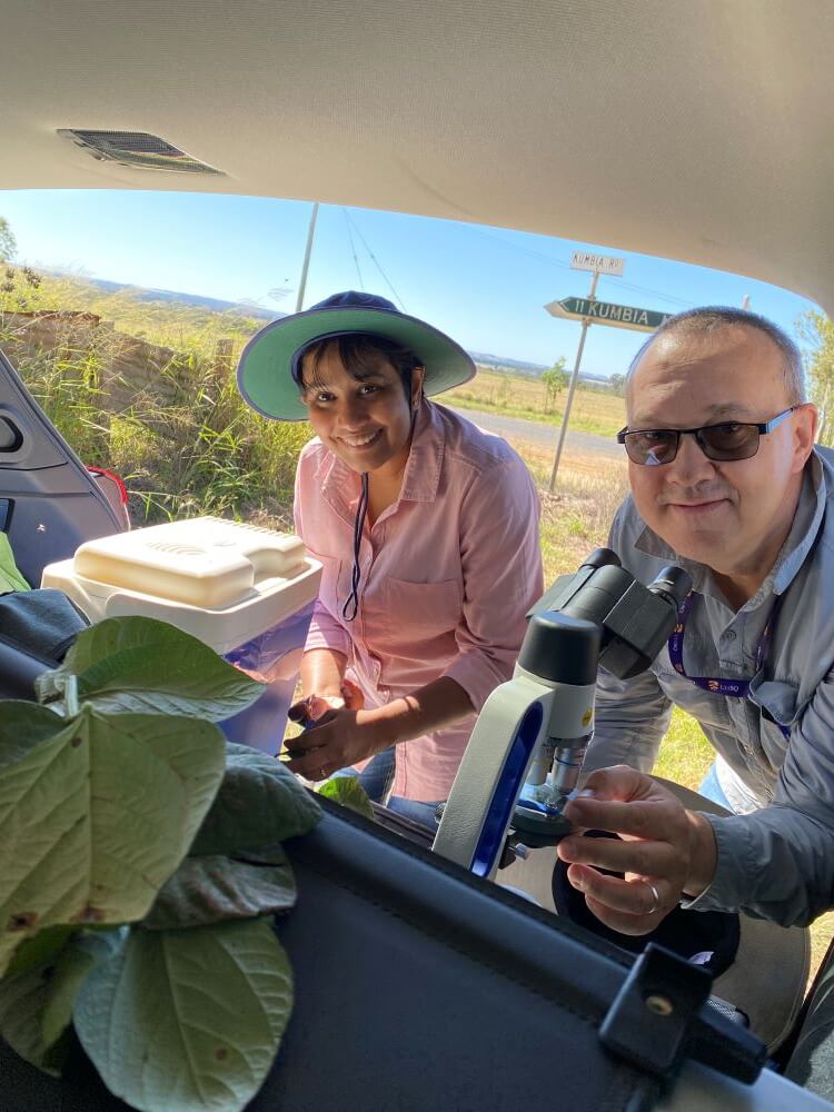 Two people outdoors working with a microscope in a vehicle trunk. A plant specimen and cooler are nearby. A street sign is visible in the background.