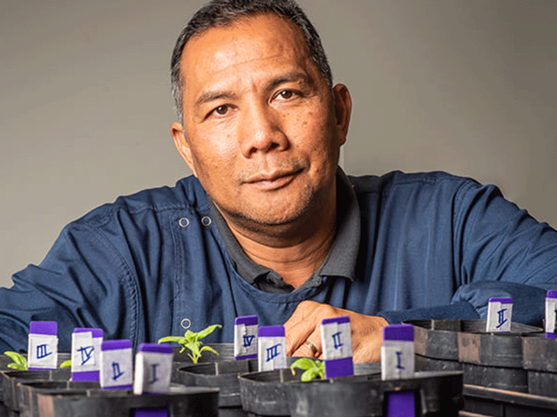 A man leaning forward at a table with small potted plants.