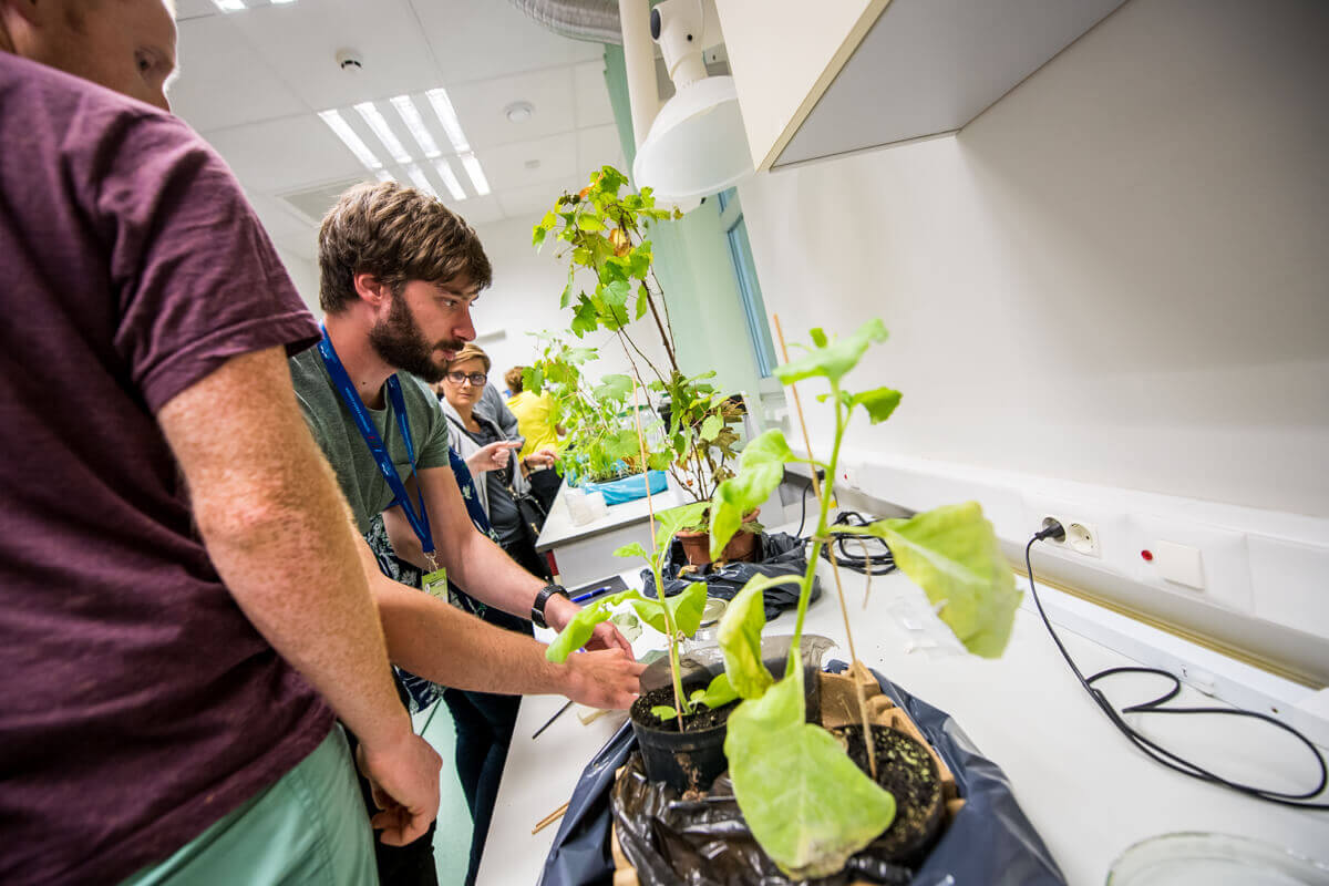 Man researching plant growth in a laboratory setting.