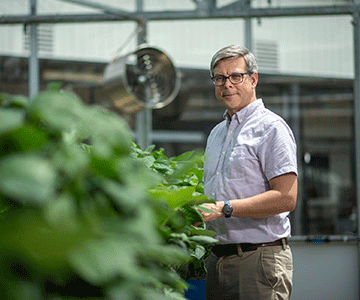 Professor Robbie Girling in the glasshouse