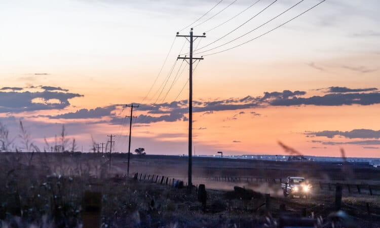 telegraph poles in the sunset