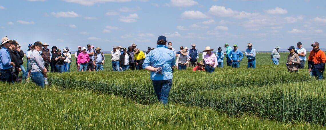 A group of people stands in a green field under a blue sky, listening to a person speaking in the center.
