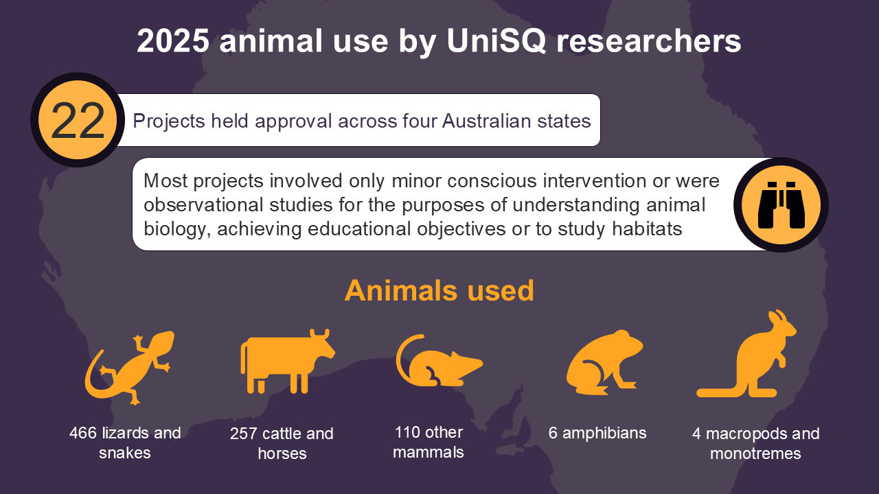 Infographic showing 22 UniSQ research projects approved across four Australian states, detailing animal use: 466 lizards/snakes, 257 cattle/horses, 110 mammals, 6 amphibians, 4 macropods/ monotremes.