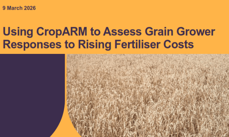 Report cover dated 9 March 2026 titled "Using CropARM to Assess Grain Grower Responses to Rising Fertiliser Costs" with an image of a wheat field.