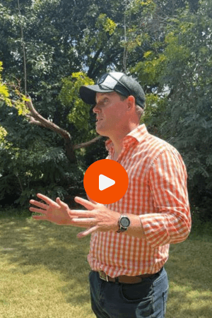 Man in an orange checkered shirt and cap gestures while standing on grass in a park.