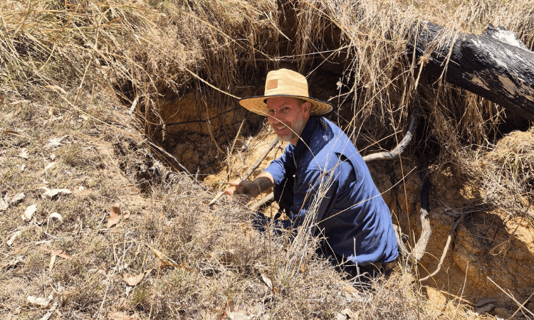 A person wearing a wide-brimmed hat and blue shirt crouches in a shallow, dry, grassy trench with exposed roots and soil. October 2025.