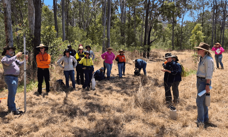A group of people in outdoor workwear stand and observe as two individuals demonstrate with equipment in a dry, grassy area surrounded by trees. October 2025.