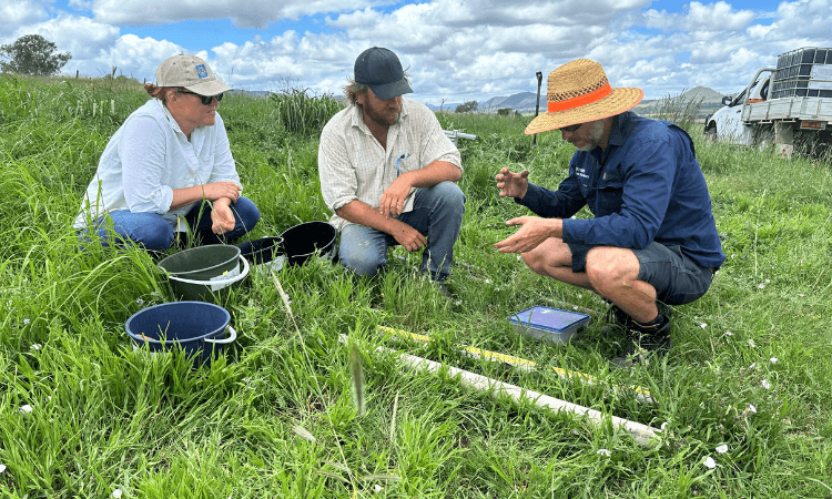 Soil testing at Echo Valley Farm, Goomburra Queensland