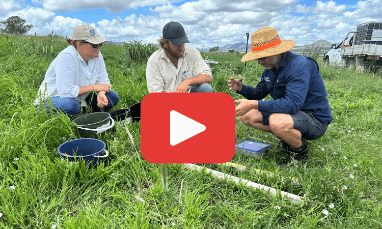 Soil Testing at Echo Valley Farm, Goomburra Queesland YouTube Video Link