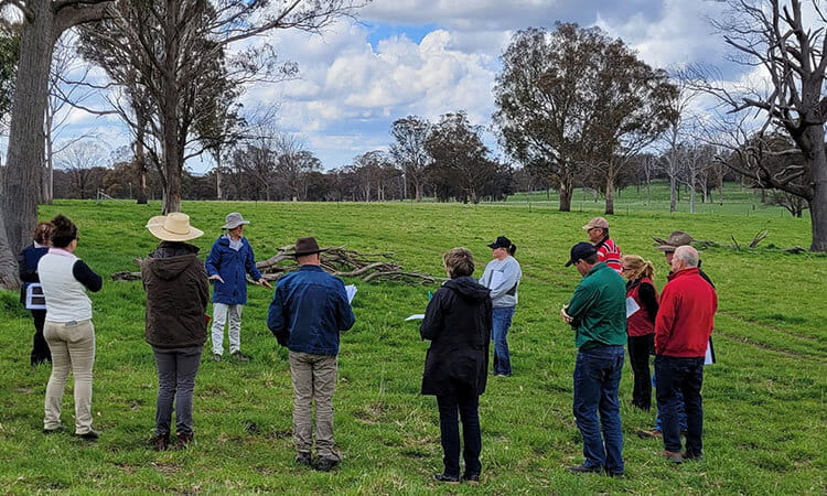 People standing in field talking