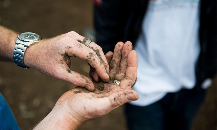 Two people examining a small object in a dirty hand.