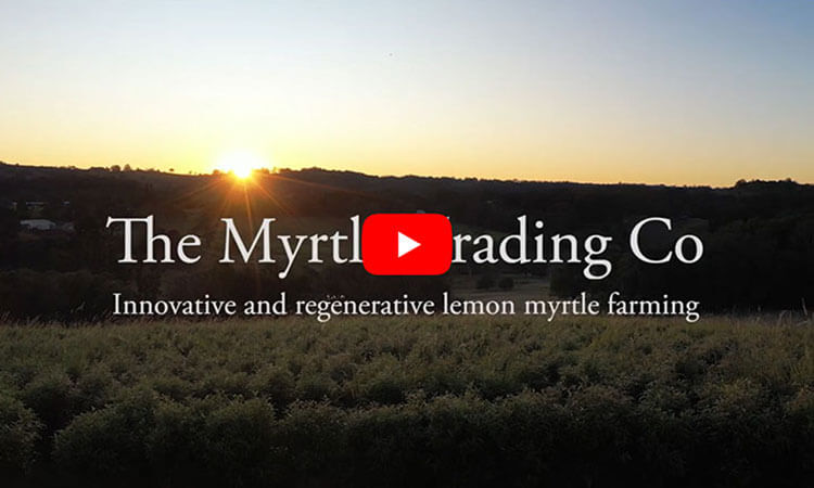 myrtle-trading-co-innovative