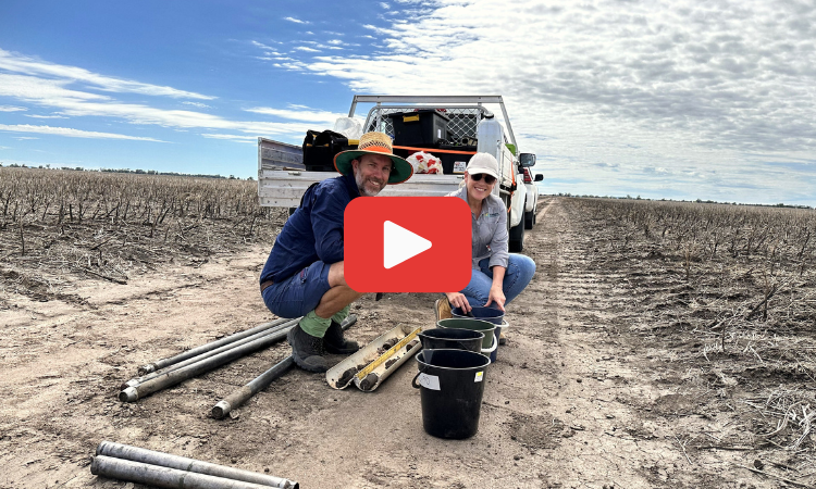 Soil testing at Pallamallawa NSW