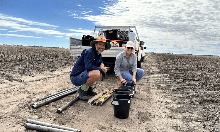 Soil testing at Pallamallawa NSW