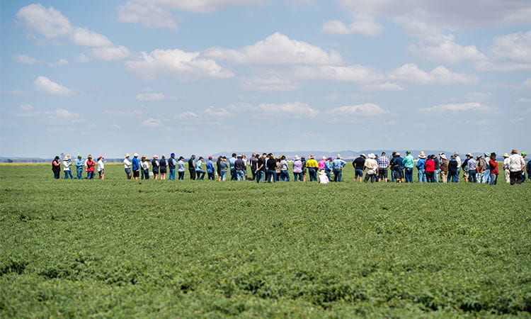 A group of people in paddock.