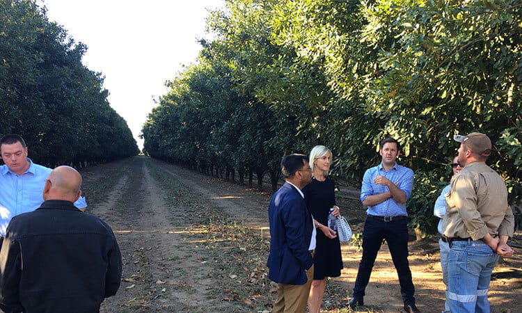 People in an orchard