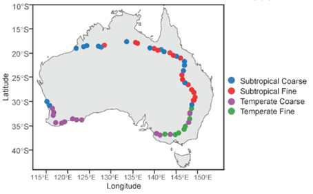 Map of Australia showing coastline sites marked by dot colors: red and blue (subtropical coarse/fine), and purple and green (temperate coarse/fine), indicating different sampling regions.