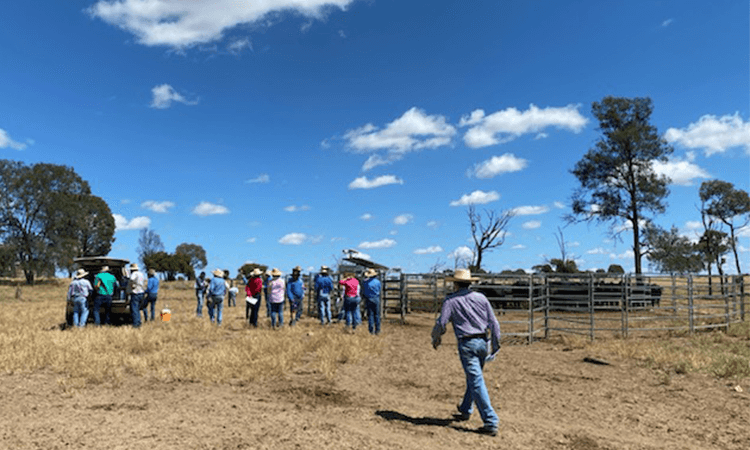 Farmers at FutureBeef day at Roma.