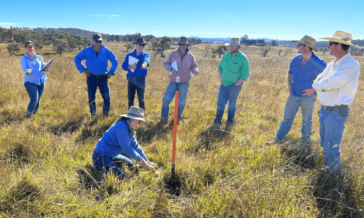 A group of people in hats stand in a grassy field while one person kneels and examines the ground with a measuring stick.
