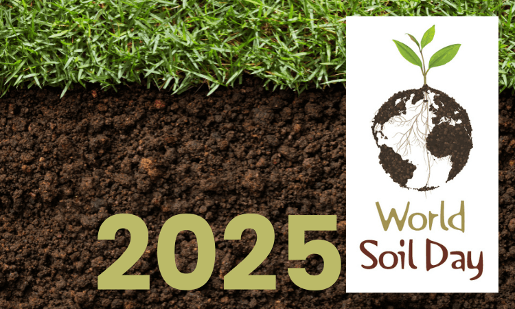 Green grass and dark soil with a World Soil Day 2025 logo featuring a plant sprouting from a globe made of soil and roots.