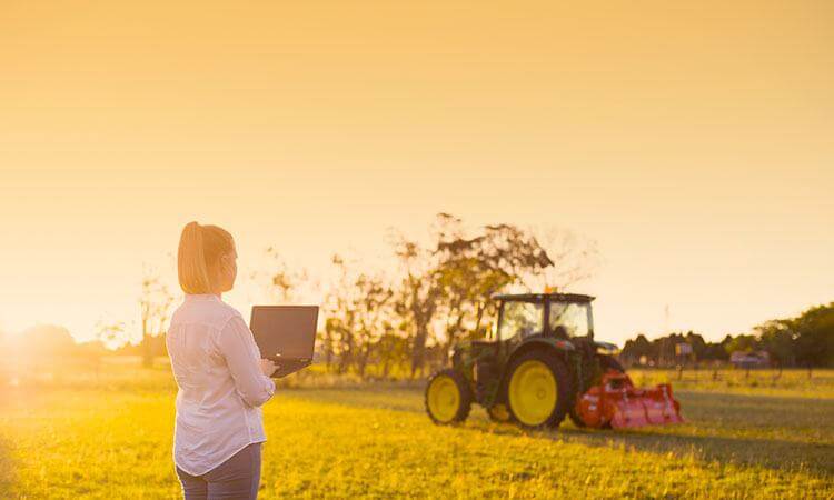 Person in paddock looking at tractor.