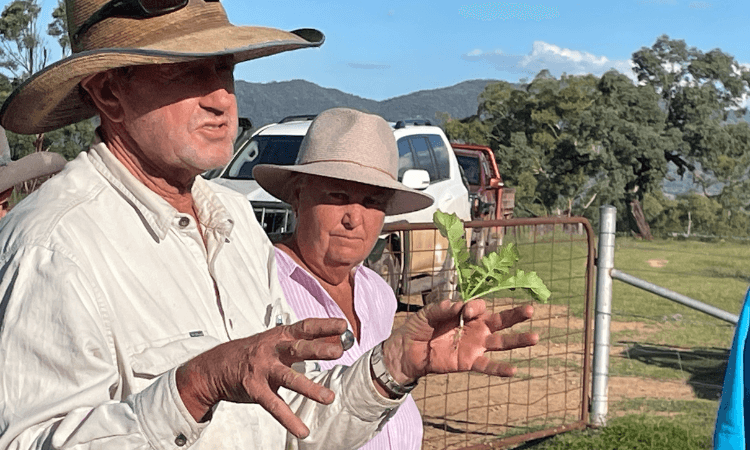 Two people wearing wide-brimmed hats stand in a paddock near a gate; one holds a small green plant and speaks, while the other listens. A vehicle and trees are visible in the background.