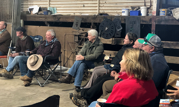 Group of people sitting on chairs, attentively watching an event in a rustic indoor setting.