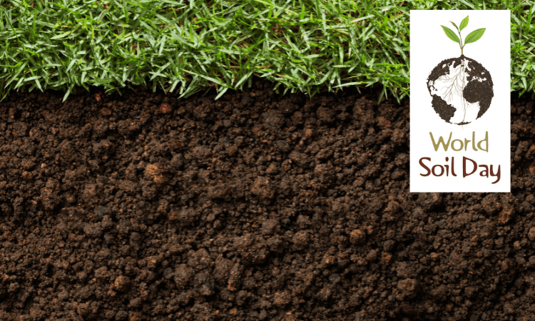 Close-up of grass and soil layers with a "World Soil Day" logo showing a plant sprouting from a globe illustration in the top right corner.