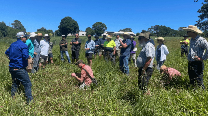 A group of people, some wearing hats, stand in a grassy field under a clear blue sky while one person examines the ground. Lismore NSW.