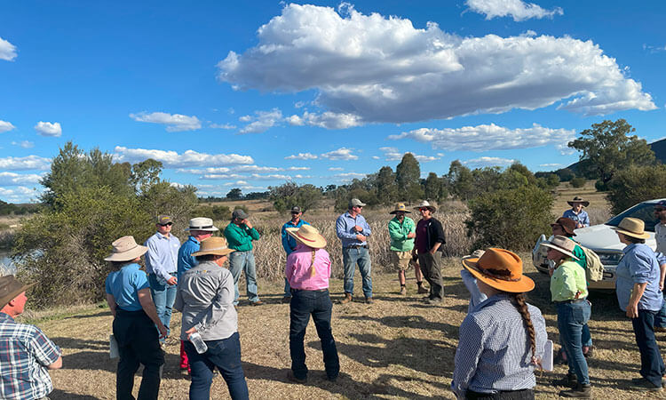 A group of people wearing hats stand in a circle outdoors on a sunny day, with a cloudy sky and trees in the background.