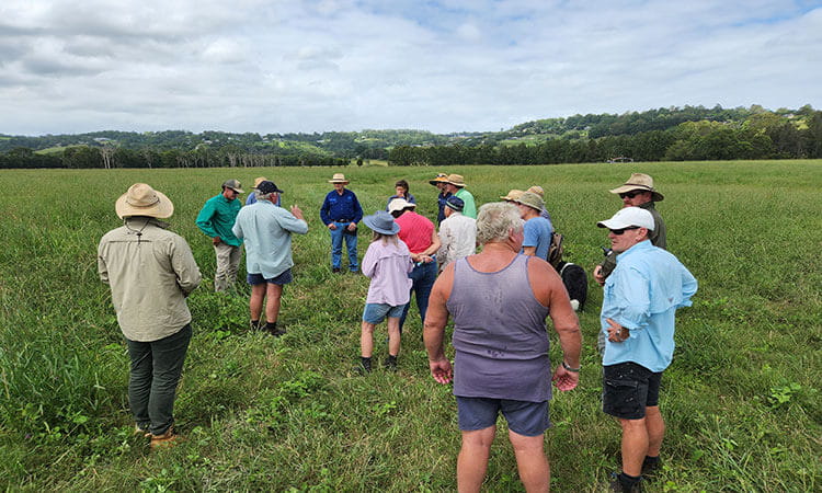 A group of people stands in a grassy field under a cloudy sky, some wearing hats and casual clothing, engaged in discussion.