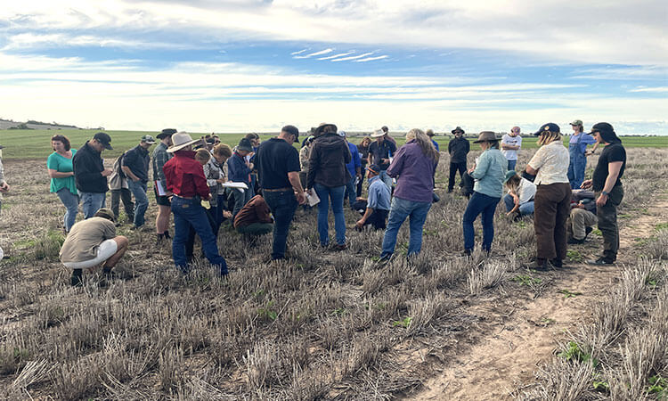 A group of people gather in a field, some kneeling and examining the ground, under a partly cloudy sky.