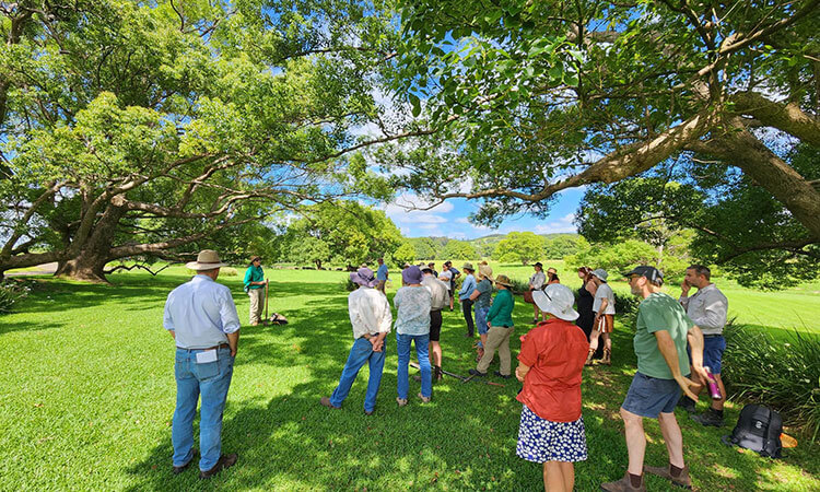 A group of people stands under large trees in a grassy area on a sunny day.