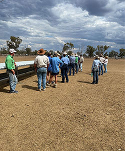A group of people in casual clothing and hats stands in a line on dry, dusty ground beneath a cloudy sky.