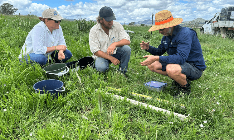 Three people sitting on grass examine soil samples beside buckets and a notebook, with a pickup truck in the background under a partly cloudy sky.