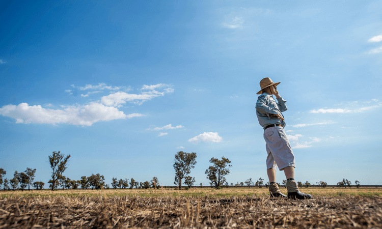 Person in a straw hat and casual clothes stands in an open field under a blue sky, surrounded by sparse trees.