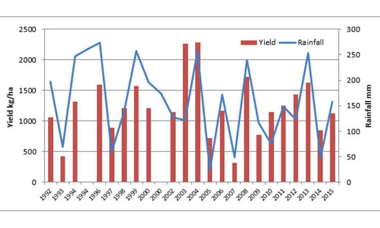 A graph shows crop yield in kg/ha (red bars) and rainfall in mm (blue line) from 1991 to 2015. The yield ranges from 0 to 1500, and the rainfall ranges from 0 to 300.