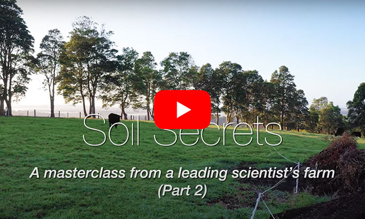 soil secrets part 2 video
