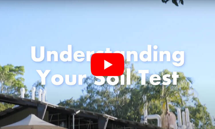 understanding your soils test
