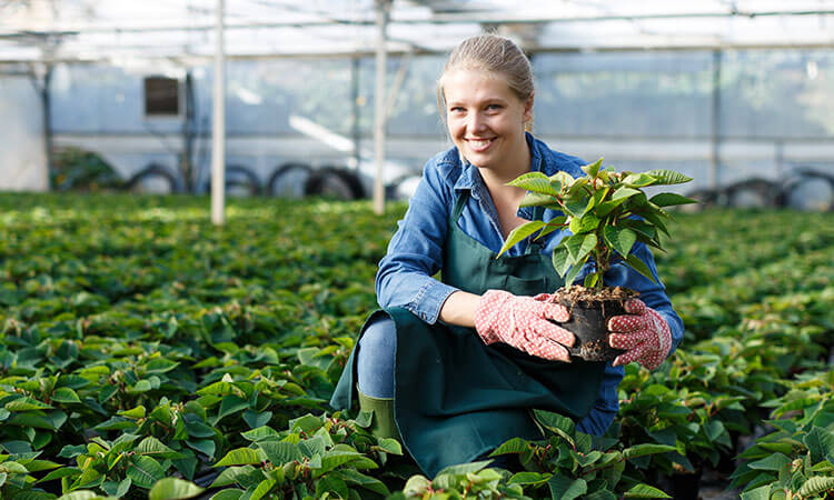 A woman in gardening gloves and apron kneels in a greenhouse, holding a potted plant and smiling, surrounded by rows of green plants.