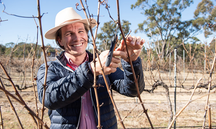 viticulturist